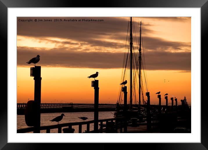 Several silhouetted seagulls at Sunrise Framed Mounted Print by Jim Jones