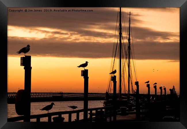 Several silhouetted seagulls at Sunrise Framed Print by Jim Jones
