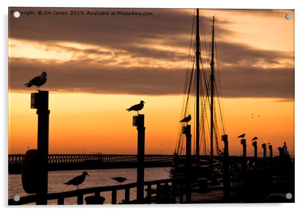 Several silhouetted seagulls at Sunrise Acrylic by Jim Jones