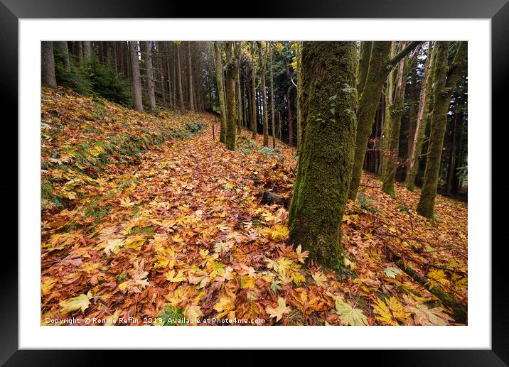Follow The Yellow Leaf Road Framed Mounted Print by Ronnie Reffin