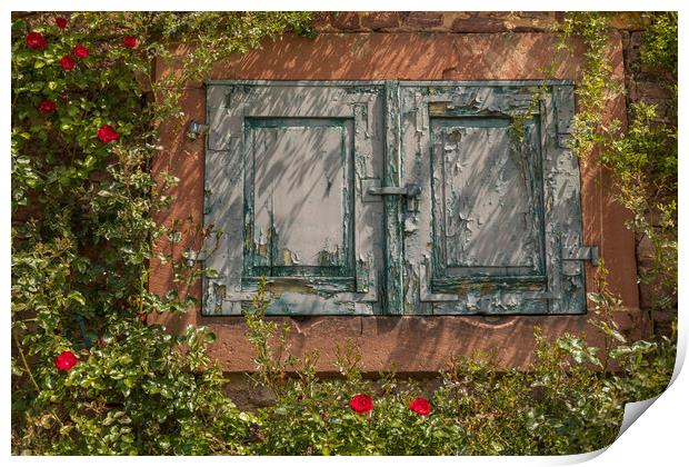 Ancient windows Print by Thomas Schaeffer