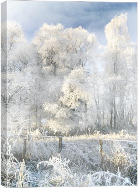 In the cold light of day  Canvas Print by JC studios LRPS ARPS