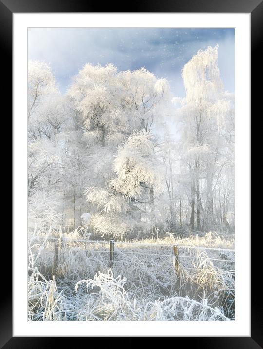 In the cold light of day  Framed Mounted Print by JC studios LRPS ARPS