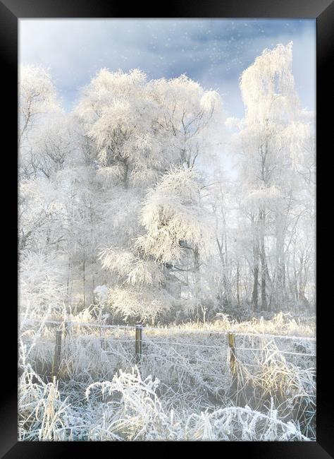 In the cold light of day  Framed Print by JC studios LRPS ARPS