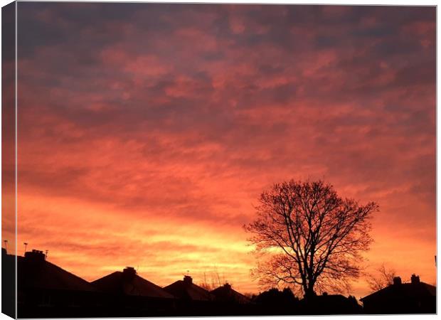 Red sky morning  Canvas Print by Jonathan Thirkell