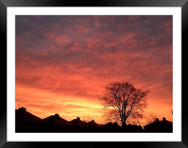 Red sky morning  Framed Mounted Print by Jonathan Thirkell