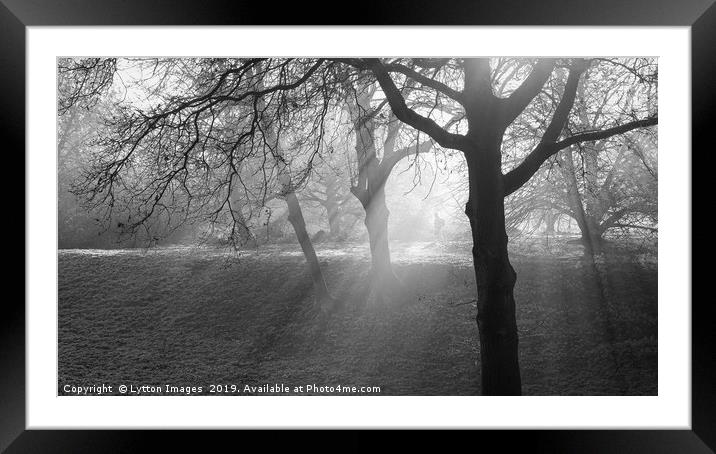 The walker Framed Mounted Print by Wayne Lytton