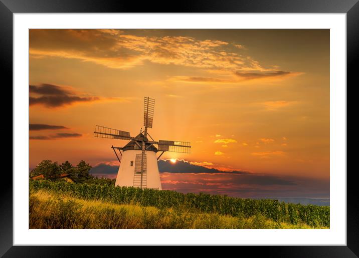 Old windmill near Retz village in Austria. Framed Mounted Print by Sergey Fedoskin