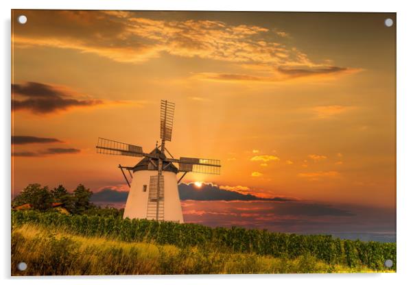 Old windmill near Retz village in Austria. Acrylic by Sergey Fedoskin