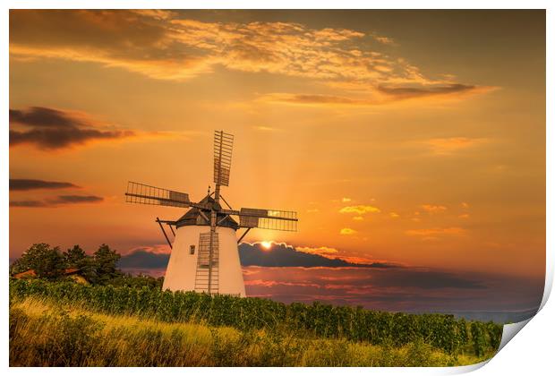 Old windmill near Retz village in Austria. Print by Sergey Fedoskin