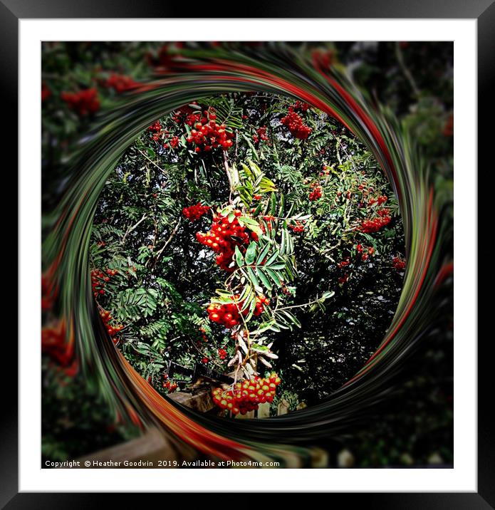 Fruits of Autumn Framed Mounted Print by Heather Goodwin