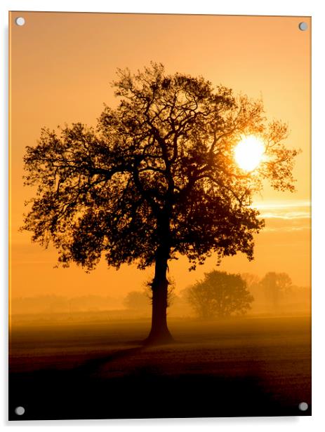 A Rural Norfolk Sunrise Acrylic by Darren Burroughs