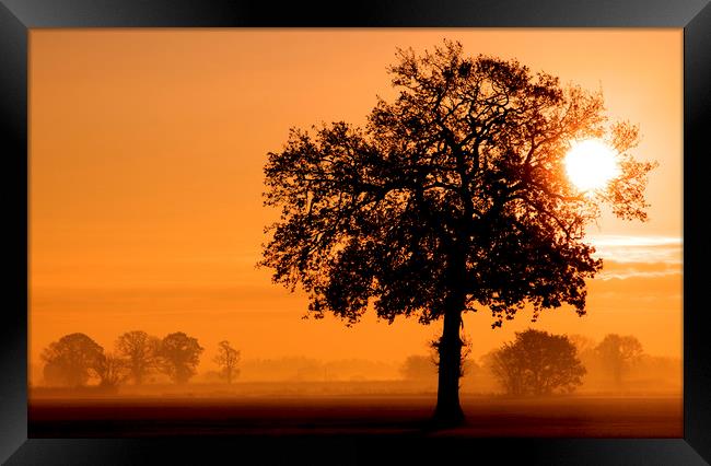 A Rural Norfolk Sunrise Framed Print by Darren Burroughs