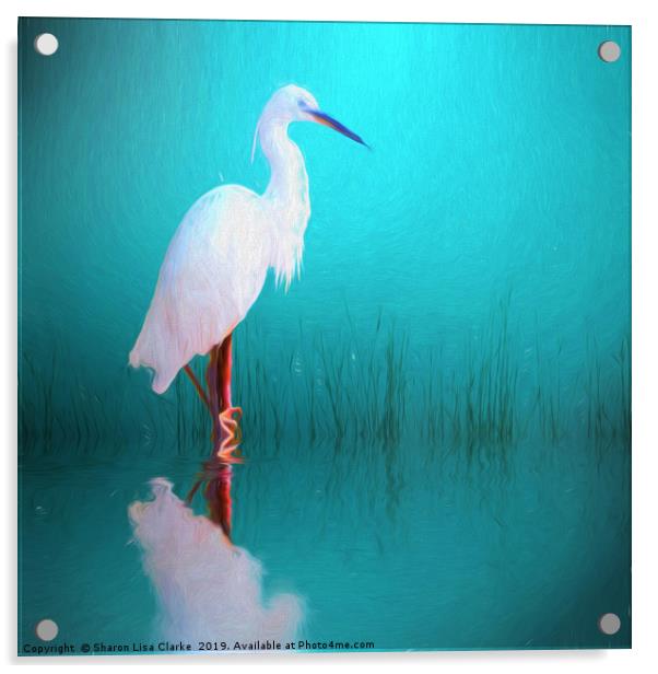 Egret in teal Acrylic by Sharon Lisa Clarke