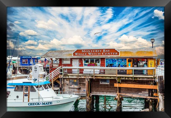 Monterey Bay Whale Watching Center Framed Print by Darryl Brooks