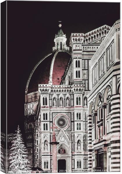 Santa Maria del Fiore Cathedral, Florence Canvas Print by Daniel Ferreira-Leite