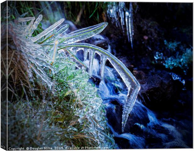 Blade of Grass in Ice Canvas Print by Douglas Milne
