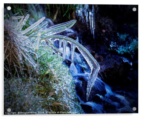 Blade of Grass in Ice Acrylic by Douglas Milne