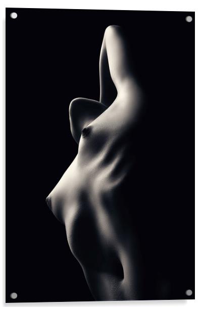Nude woman bodyscape 33 Acrylic by Johan Swanepoel