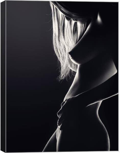 Nude woman bodyscape 34 Canvas Print by Johan Swanepoel