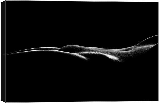 Nude woman bodyscape 37 Canvas Print by Johan Swanepoel