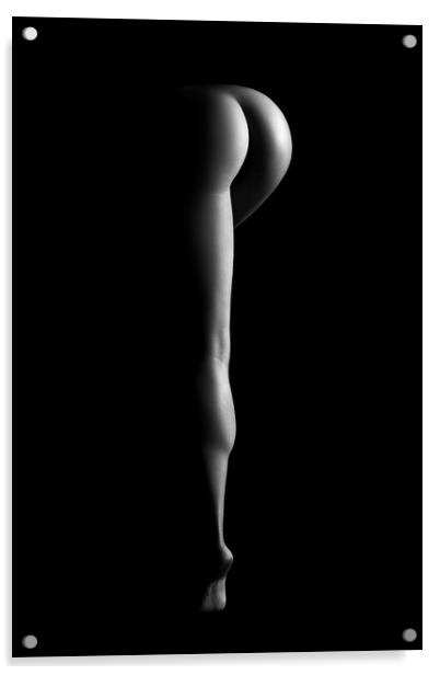 Nude woman bodyscape 38 Acrylic by Johan Swanepoel