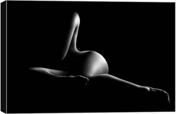 Nude woman bodyscape 40 Canvas Print by Johan Swanepoel