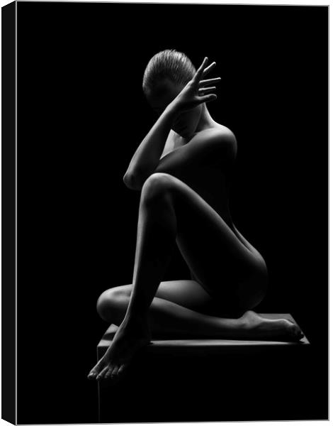 Nude woman bodyscape 41 Canvas Print by Johan Swanepoel