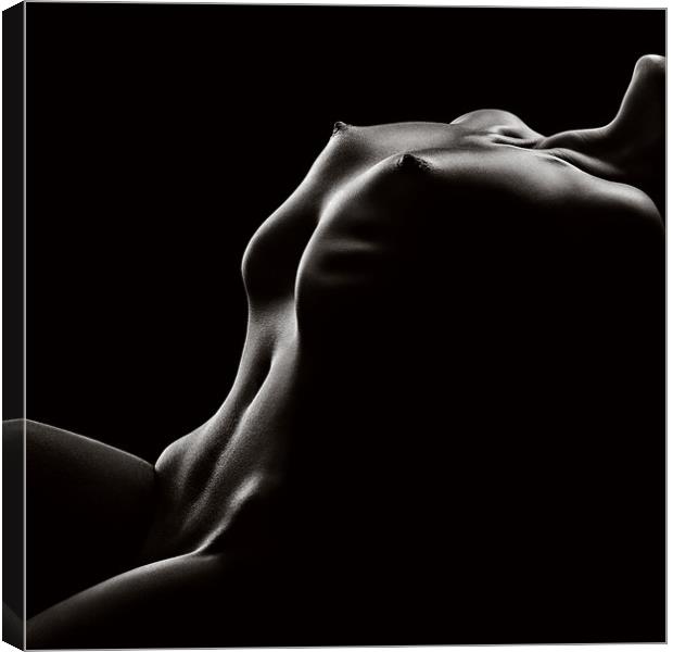 Nude woman bodyscape 42 Canvas Print by Johan Swanepoel