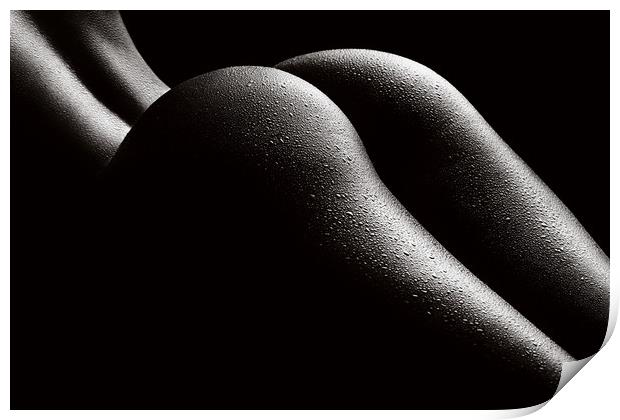 Nude woman bodyscape 43 Print by Johan Swanepoel