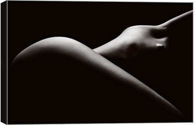 Nude woman bodyscape 44 Canvas Print by Johan Swanepoel