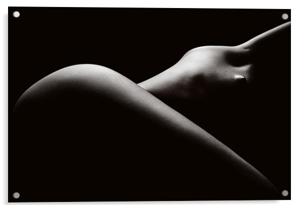 Nude woman bodyscape 44 Acrylic by Johan Swanepoel
