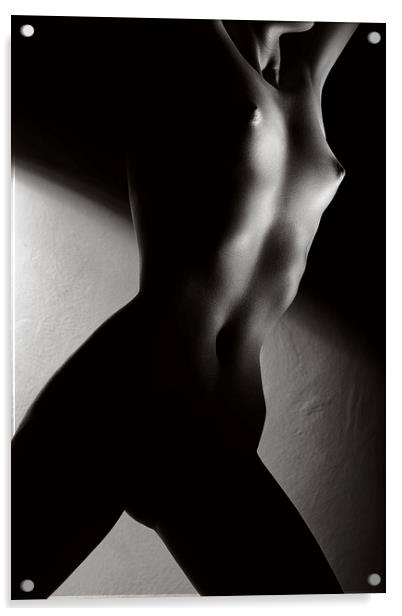 Nude fine art 4 Acrylic by Johan Swanepoel