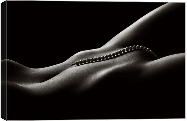Nude woman bodyscape 45 Canvas Print by Johan Swanepoel