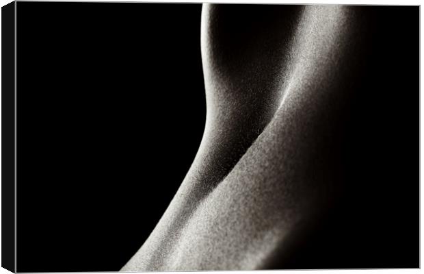 Bodyscape woman's stomach 2 Canvas Print by Johan Swanepoel