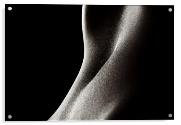 Bodyscape woman's stomach 2 Acrylic by Johan Swanepoel