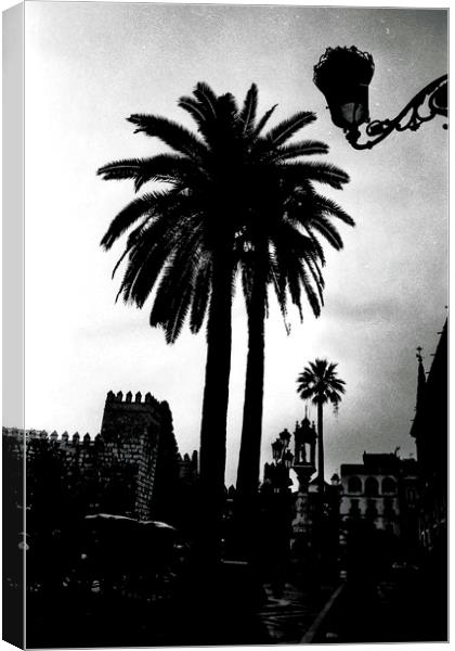 Palm tree in Seville Canvas Print by Jose Manuel Espigares Garc