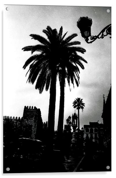Palm tree in Seville Acrylic by Jose Manuel Espigares Garc