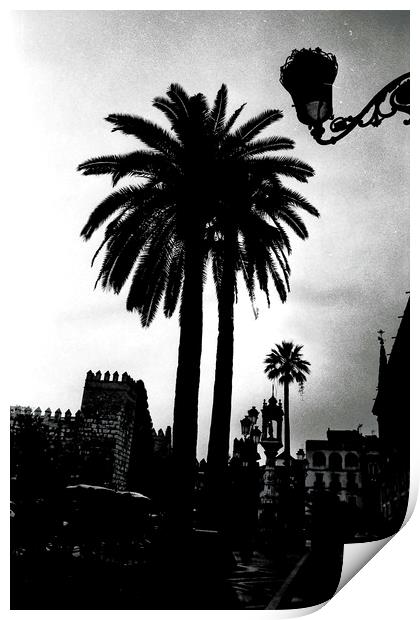 Palm tree in Seville Print by Jose Manuel Espigares Garc