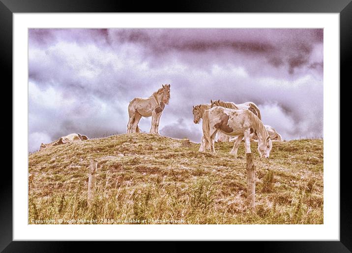 herd of pinto horses Framed Mounted Print by keith hannant
