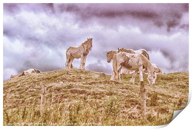 herd of pinto horses Print by keith hannant