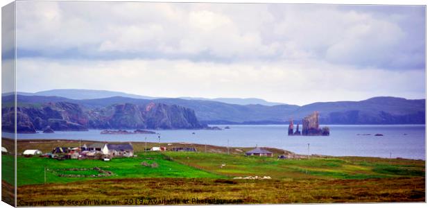 Hillswick Ness and The Drongs Canvas Print by Steven Watson