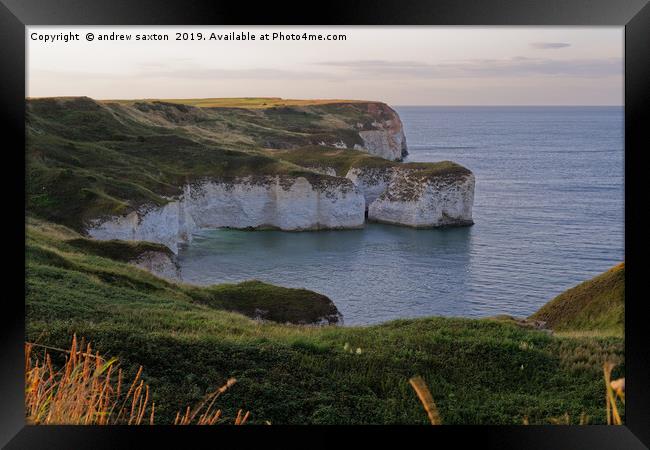 WHITE CLIFFS AT FLAMBOROUGH Framed Print by andrew saxton