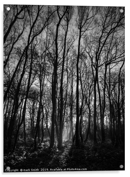 Winter Woodland Acrylic by mark Smith