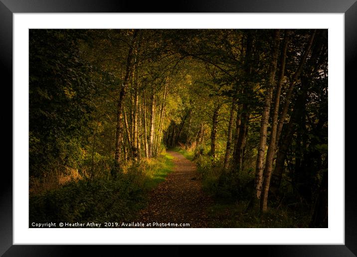 Heading for the Light Framed Mounted Print by Heather Athey