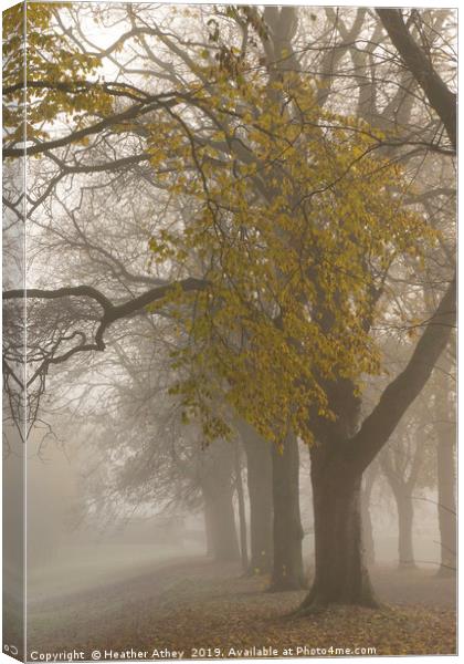 Autumn mists Canvas Print by Heather Athey