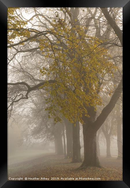 Autumn mists Framed Print by Heather Athey