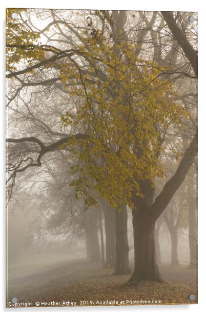 Autumn mists Acrylic by Heather Athey
