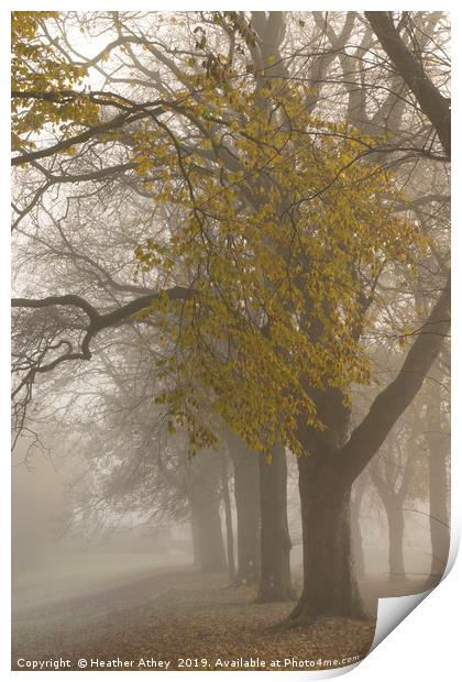 Autumn mists Print by Heather Athey