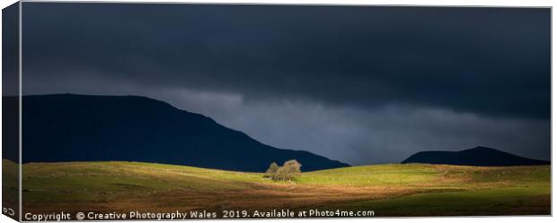 Landscape at Cwmystradllyn, Snowdonia National Par Canvas Print by Creative Photography Wales